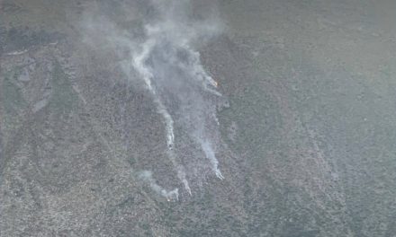 Controla Protección Civil incendio forestal en la Sierra de Arteaga