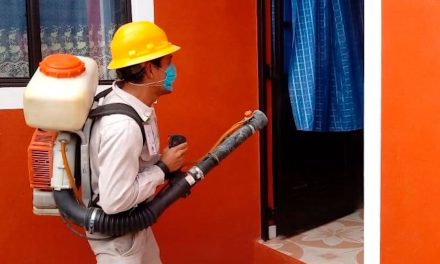 Son permanentes en Saltillo las acciones contra el dengue