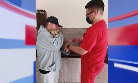 Realiza Arteaga campaña de esterilización gratuita