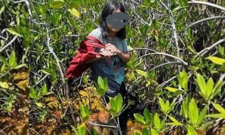 Adolescente sobrevive una semana en la selva de Quintana Roo… perro rescatista la encontró