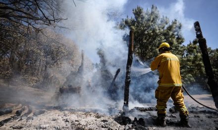 Jalisco es la entidad que registra más afectaciones por incendios forestales en el 2023