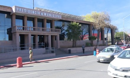 Premio Municipal de Medio Ambiente cierra convocatoria para inscribir candidaturas
