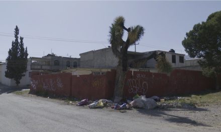 No respetan área verde en Lomas del Bosque