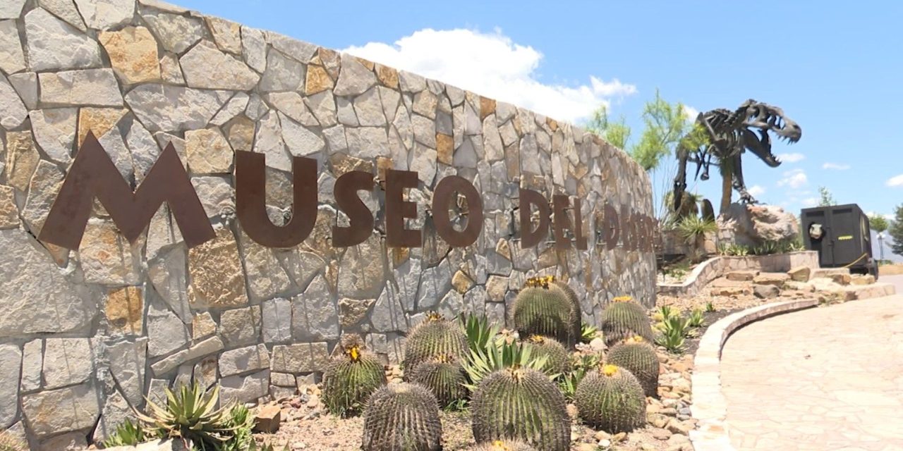 Proyecta Museo del Desierto nueva área para 2024