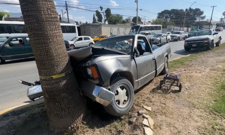 Conductor se habría quedado sin frenos y choca contra una a palma en blvd Fundadores