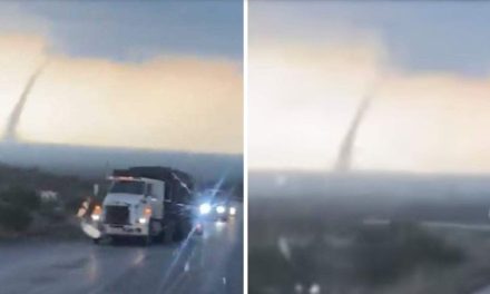 Video: Impresionante tornado en carretera de Coahuila sorprende a conductores