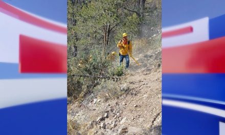 Tres incendios forestales activos en Coahuila