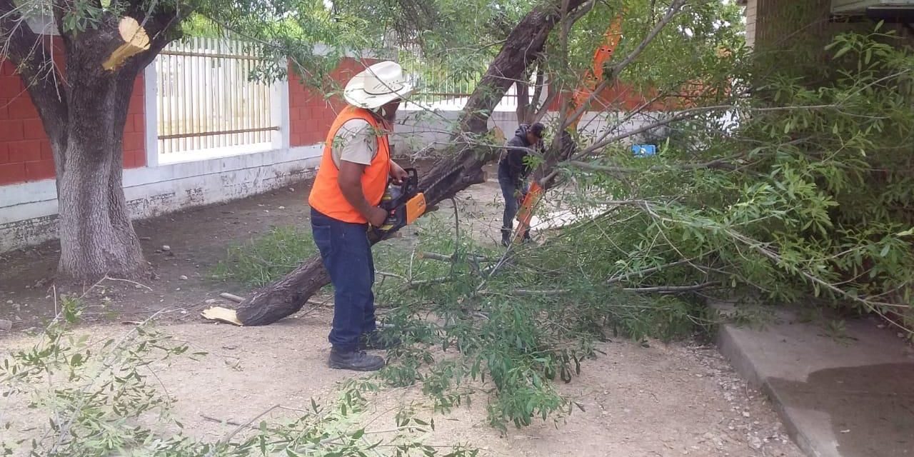 Apoya Ecología de Acuña en limpieza de escuelas