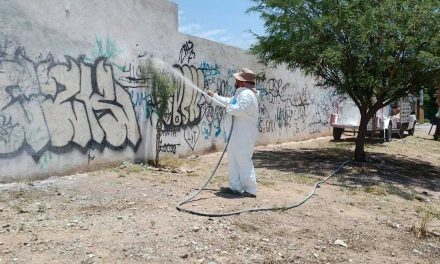 Borran grafiti en calles de Torreón