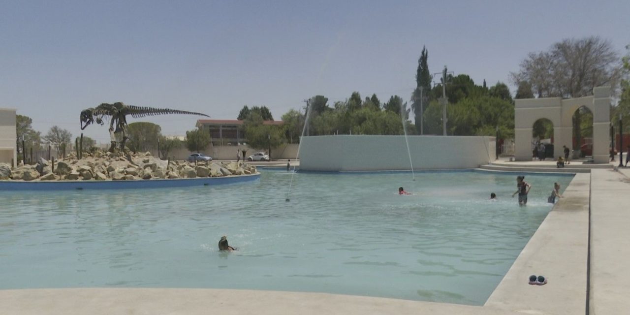Se refrescan en lago de la Alameda de Ramos Arizpe