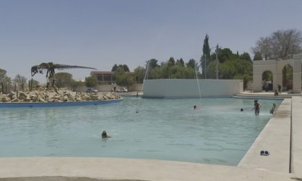 Se refrescan en lago de la Alameda de Ramos Arizpe