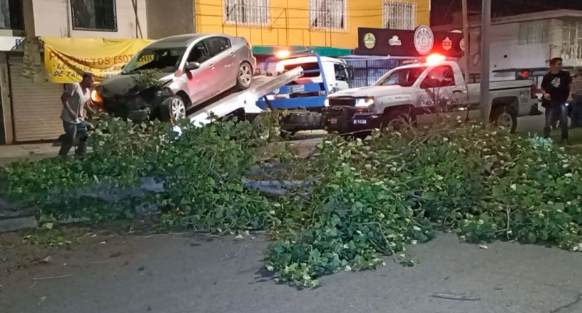 Saltillo: Huye tras derribar árbol sobre el bulevar Manuel Pérez Treviño