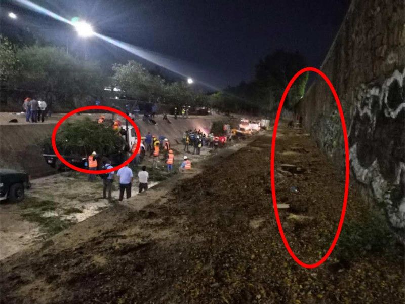 En plena ola de calor, en León talan 70 árboles, ya preparan demanda