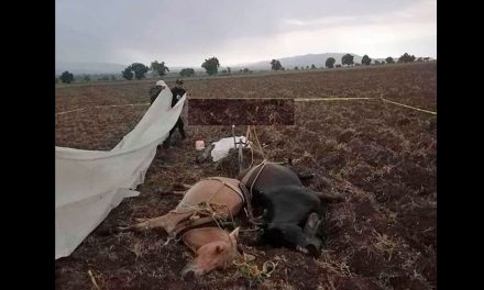 Muere campesino y sus dos caballos tras ser alcanzado por rayo en Puebla