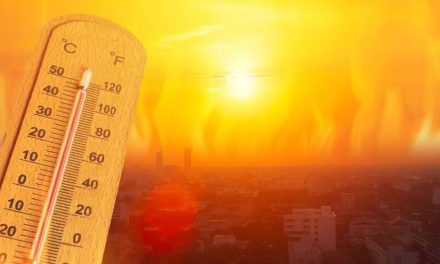 México está ardiendo y todavía falta lo peor… ¿Cuándo llegará la Canícula?
