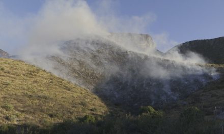 Combaten incendio en Ramos Arizpe, tienen 30% de control