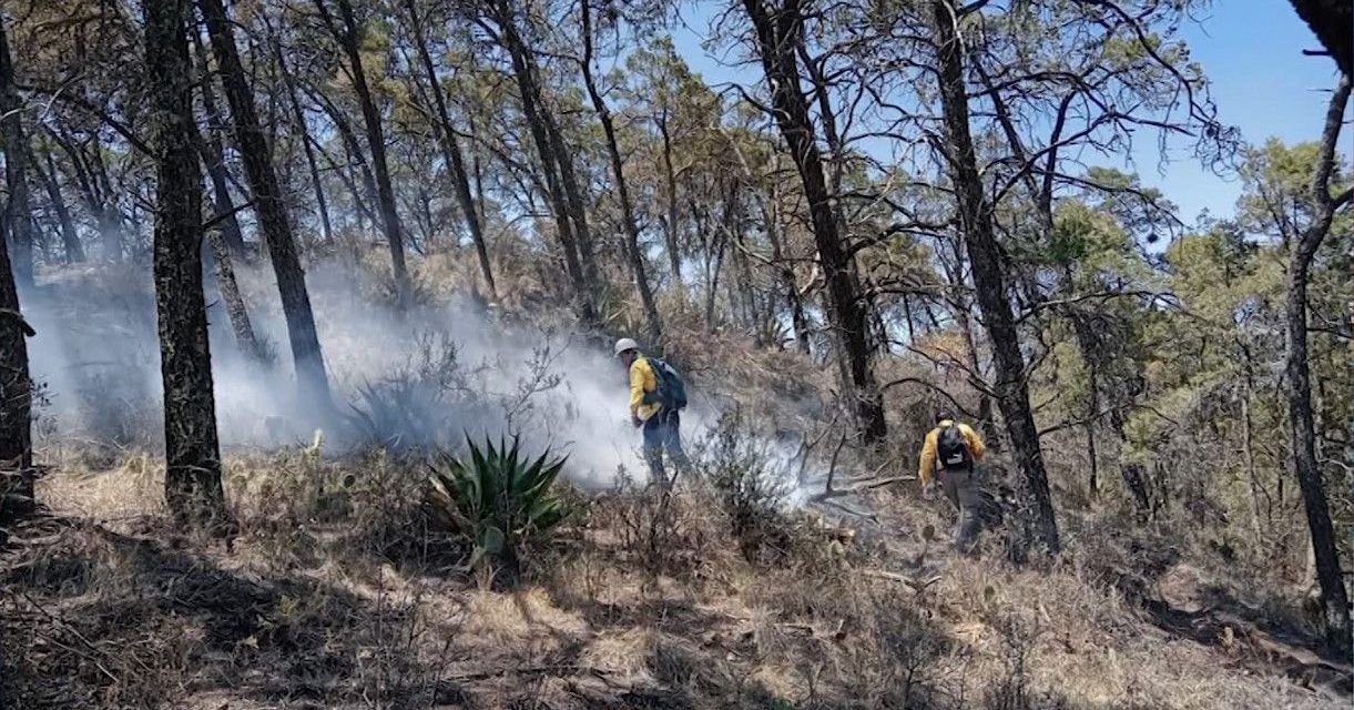 Continúa Arteaga apoyando incendio de Ramos Arizpe