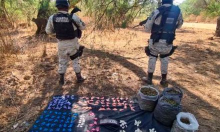 Asegura Guardia Nacional más de mil dosis de ‘Cristal’ y mariguana en Jalisco