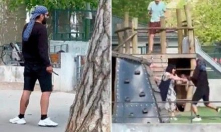 Hombre armado con un cuchillo hiere a niños en un parque de Francia