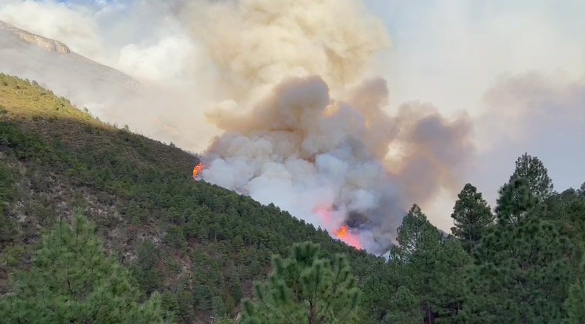 Coahuila en emergencia por incendios forestales