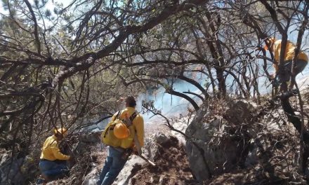 Se mantienen cuatro incendios forestales activos en el estado