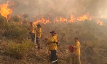 Incendio acaba con miles de hectáreas en el cerro Sabino entre San Luis Potosí y Zacatecas