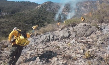 Secretaria del Medio Ambiente informa sobre los 7 incendios forestales activos en Coahuila