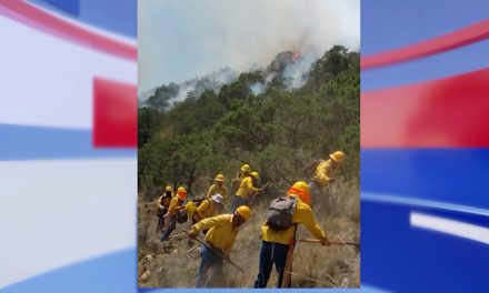 Liquidación de incendio en ‘Las Maravillas’ en un 40 por ciento