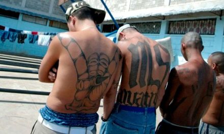 La Mara Salvatrucha apoya al ‘Mayo’ Zambada en guerra contra ‘Los Chapitos’