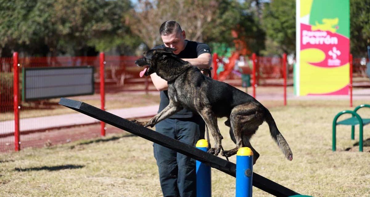 6 de cada 10 hogares en Coahuila tienen un perro o gato