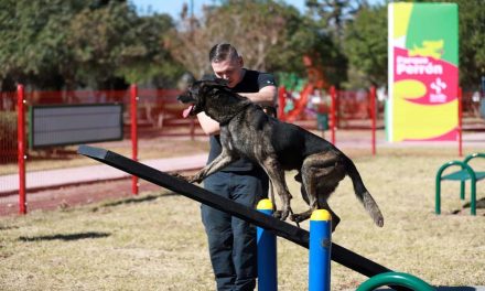 6 de cada 10 hogares en Coahuila tienen un perro o gato