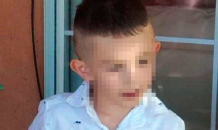 Pitbulls devoran a pequeñito de 4 años en Chihuahua; exigen justicia para Gabriel
