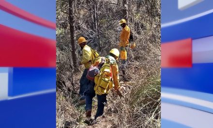 Reportan seis incendios activos en el estado