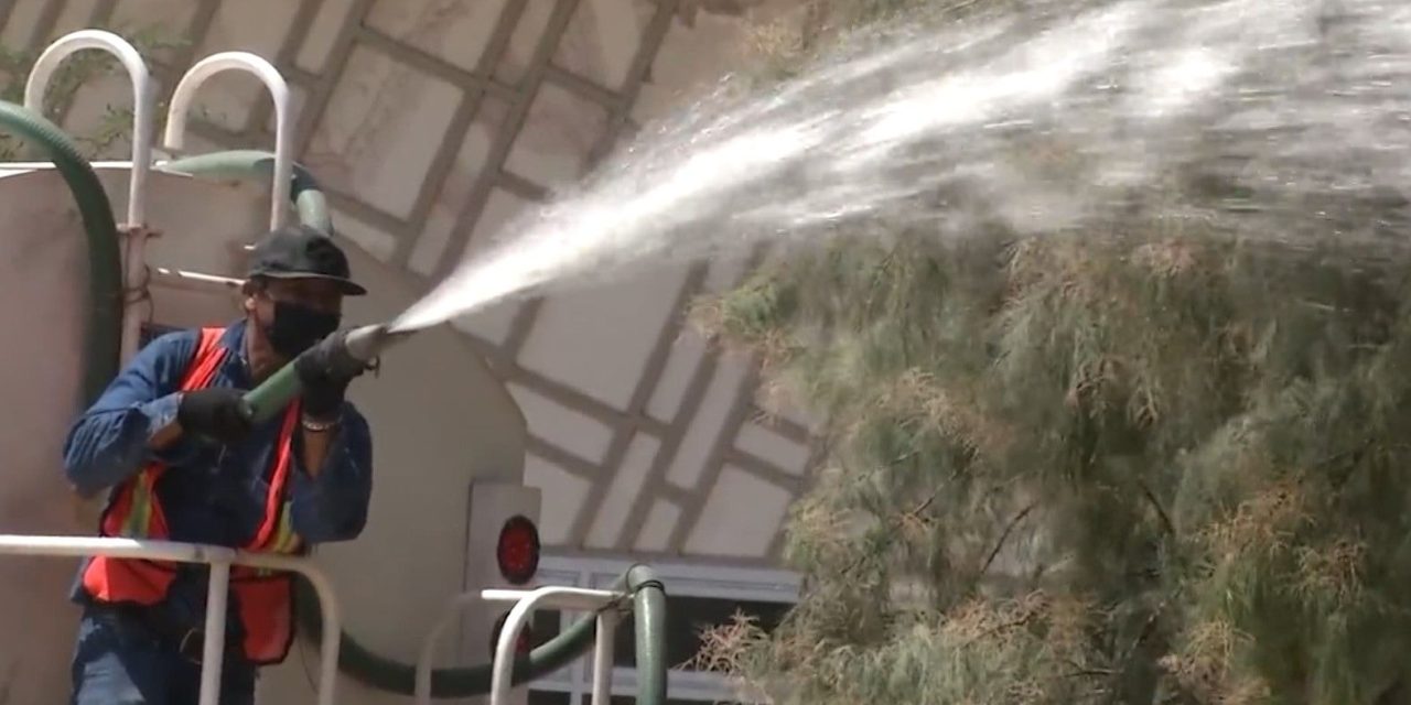 Intensifican riego de plazas públicas con agua tratada en Torreón