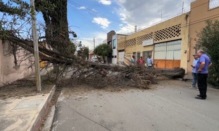 Ventarrón deja daños en varias partes de Saltillo