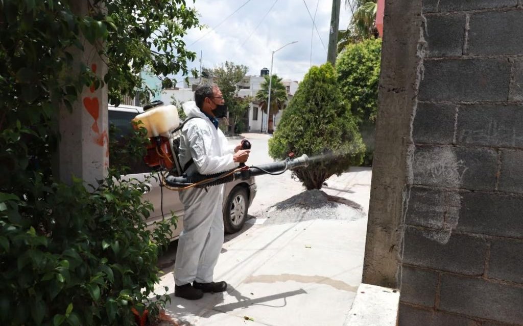 Calor favorece surgimiento de plagas