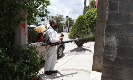 Calor favorece surgimiento de plagas