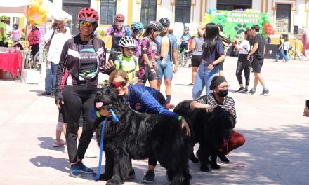 Celebran el Día Internacional del Perro en Sabinas