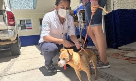 Trabajan para fomentar el respeto a las mascotas en Acuña