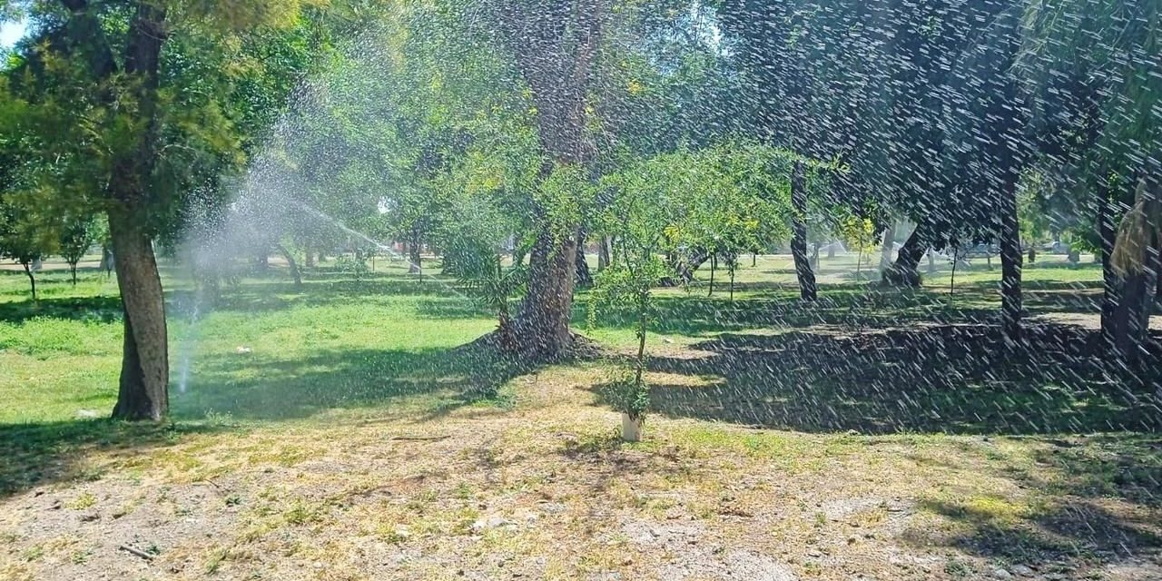 Realizan acciones permanentes de mantenimiento en Torreón