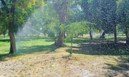 Realizan acciones permanentes de mantenimiento en Torreón