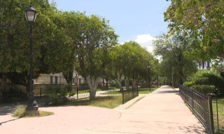Reconstruirán alameda de Parras de la Fuente