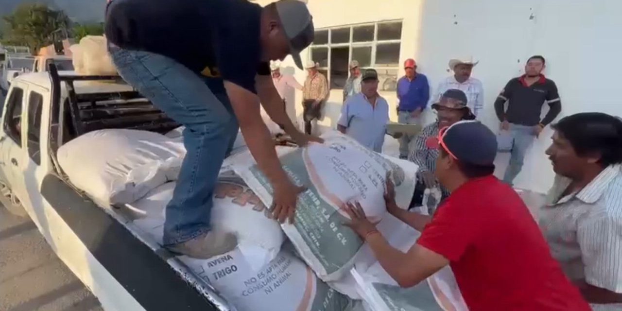 Reciben apoyos agricultores de Arteaga