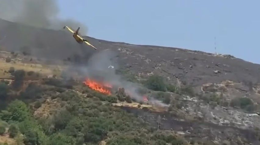 Video: Avión se estrella mientras combatía el incendio en Grecia