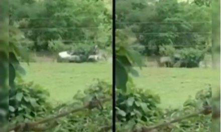 Con total impunidad presuntos sicarios del CJNG pasean por Michoacán