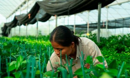 Exportaciones agroindustriales rompen récord, anuncia Banco de México