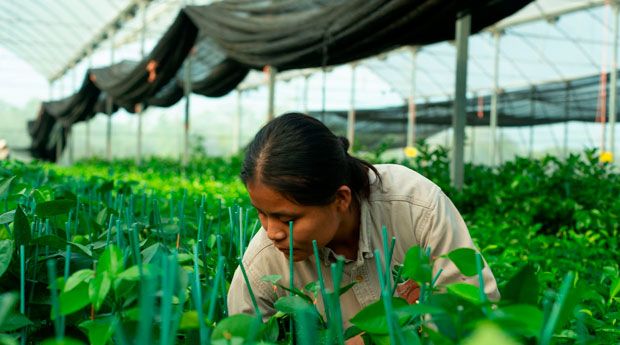 Exportaciones agroindustriales rompen récord, anuncia Banco de México