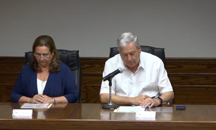 Presentan informe de actividades en sesión del Consejo para la Inclusión de Personas con Discapacidad
