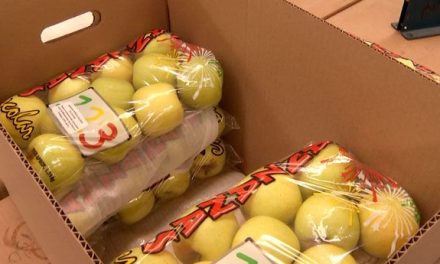 Pérdida de la producción de manaza de Arteaga será del 60 por ciento
