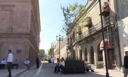 Ubicarán esculturas de osos y un jinete en Paseo Capital